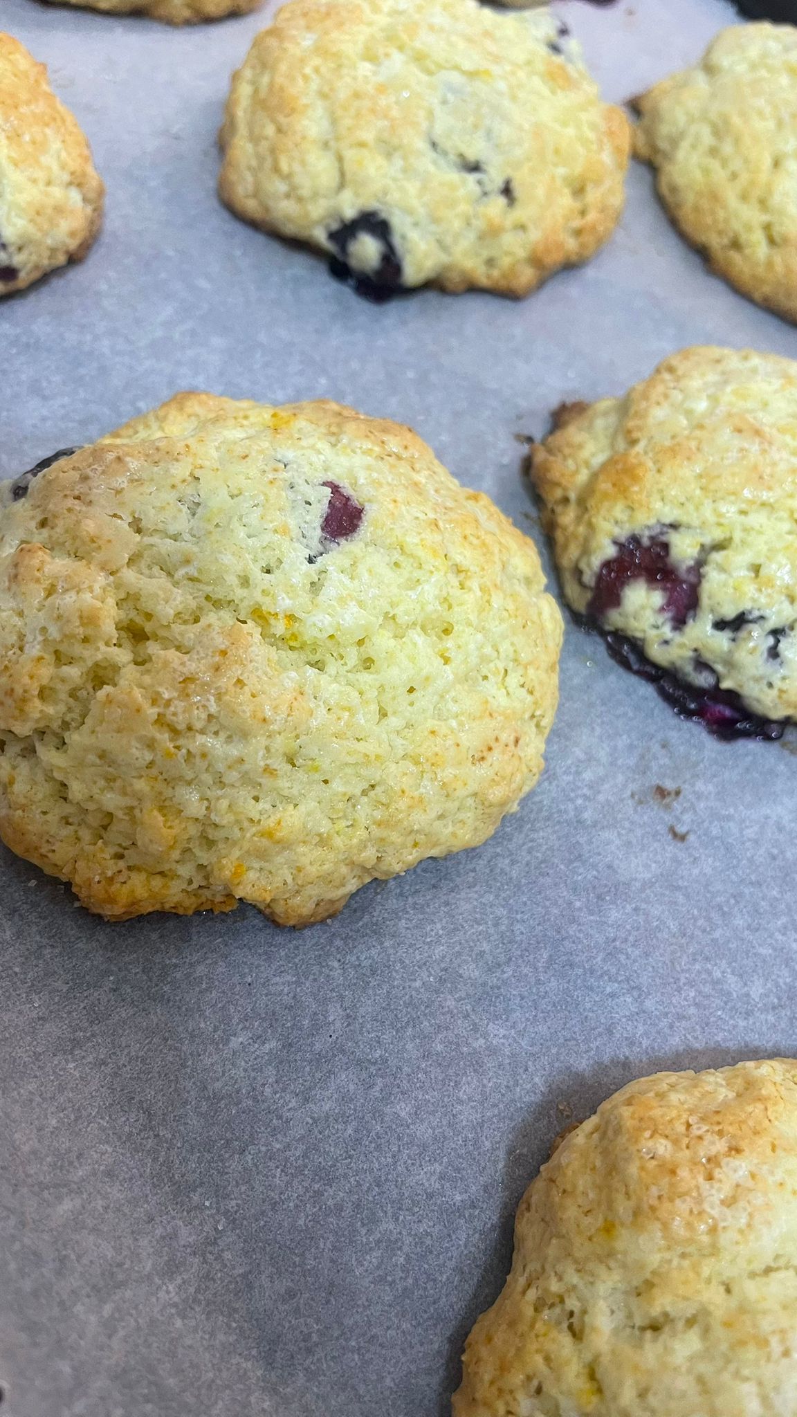 BLUEBERRIES SCONE