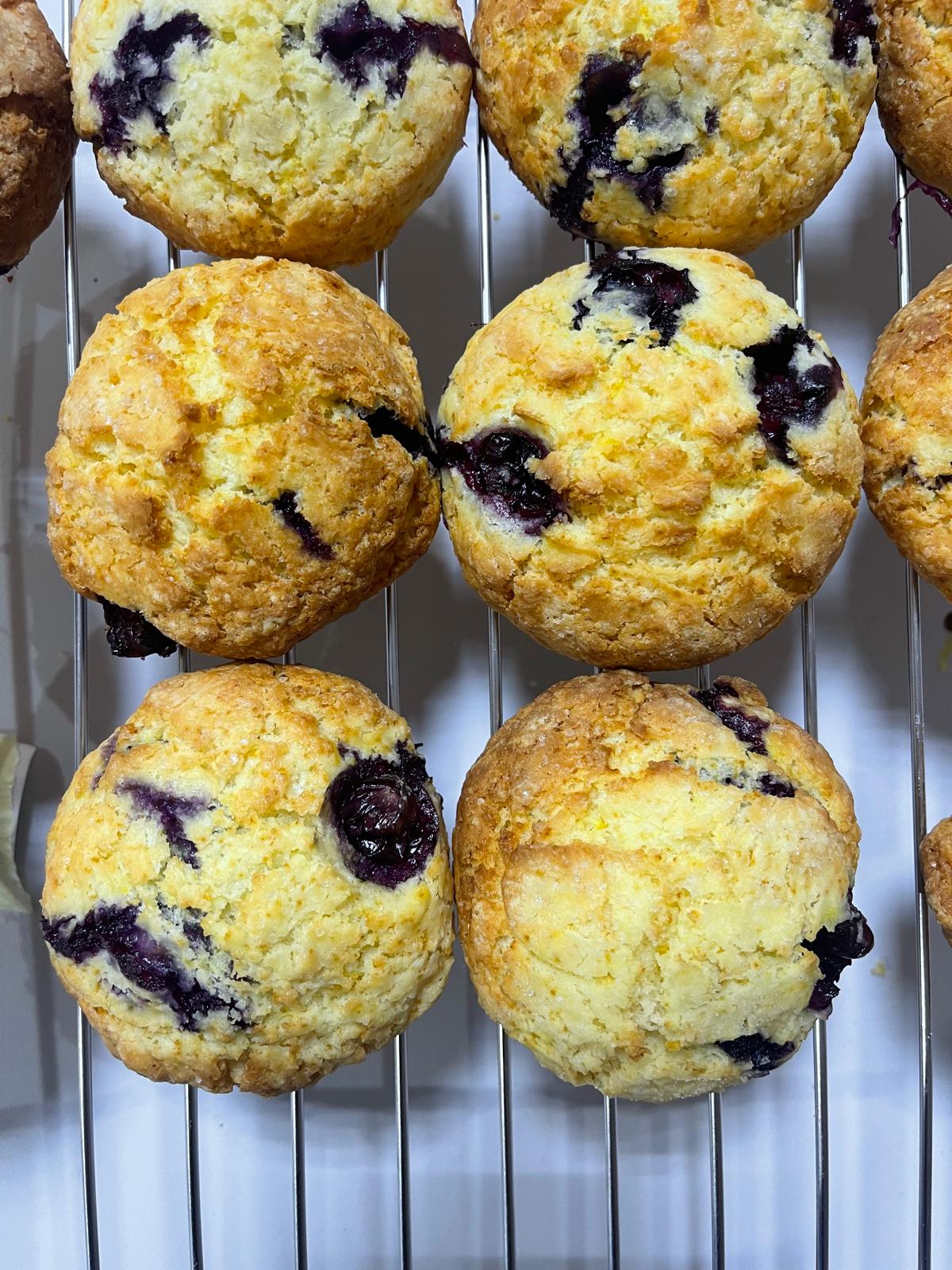 BLUEBERRIES SCONE