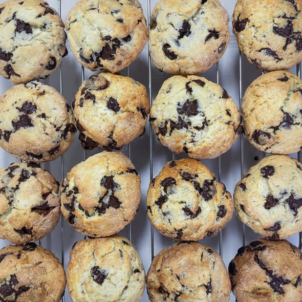 CHOCOLATE SCONE