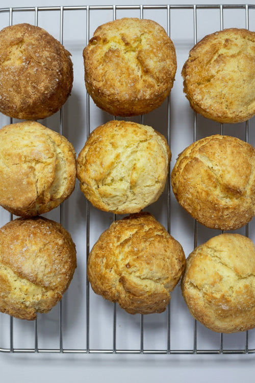 Plain SCONE