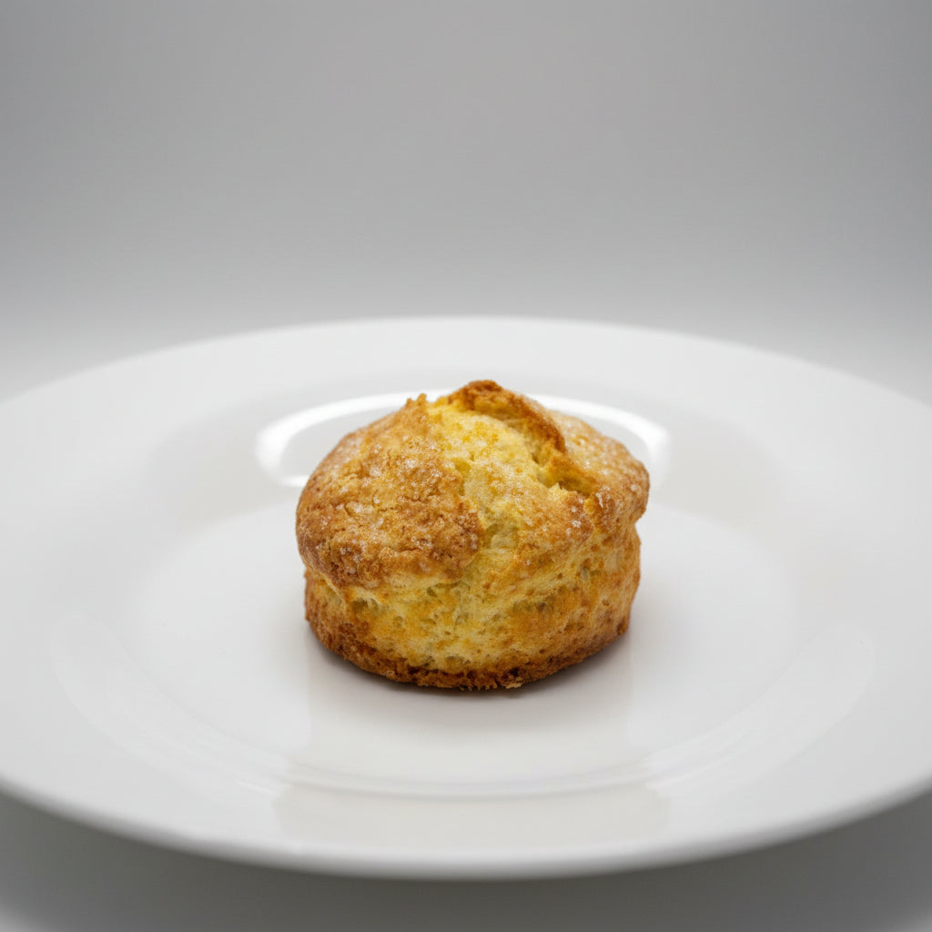 Plain SCONE