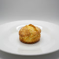 Plain SCONE